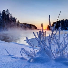 winter, Fog, Great Sunsets, River