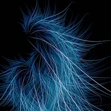 Hair, abstraction, Blue