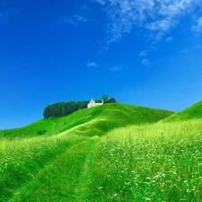 Field, Green, Home, Hill, White, grass