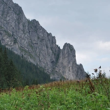 peaks, Tatras, Koscieliska Valley