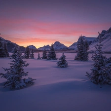 Crowfoot Mountain, Canada, winter, Mountains, Bow Lake, viewes, trees, Banff National Park, Alberta, Great Sunsets, frozen