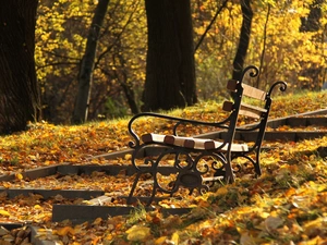 Park, autumn, Leaf, Bench