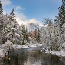 El Capitan Peak, Yosemite National Park, trees, California, viewes, winter, winter, The United States, Merced River, Mountains