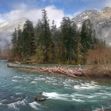Mountains, Fog, trees, viewes, River
