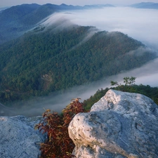 Fog, rocks, Mountains, forest