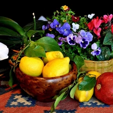 lemons, pot, Fruits, composition, navy blue, Flowers