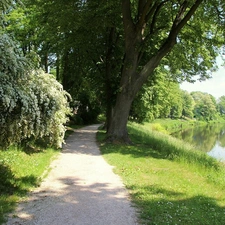 Path, green, trees, viewes, River