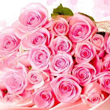 rouge, bouquet, pink