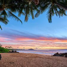 sea, Aloha State Hawaje, Palms, Beaches, VEGETATION, Maui Island