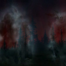 the spirits, forest, Sky