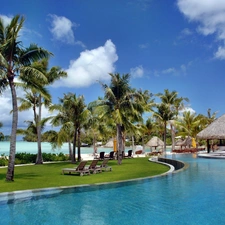 spa, Bora Bora, Palms, Pool, Ocean