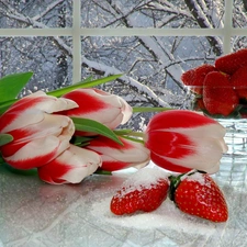 Window, Tulips, strawberries, snow