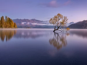 Mountains, Wanaka Lake, reflection, New Zeland, autumn, trees