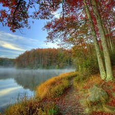 trees, viewes, lake, mist, autumn