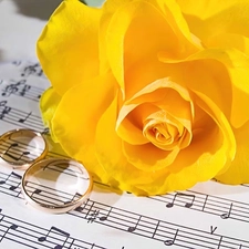 Yellow, rings, Tunes, roses