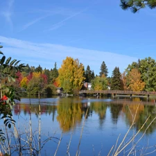 viewes, autumn, bridge, trees, lake