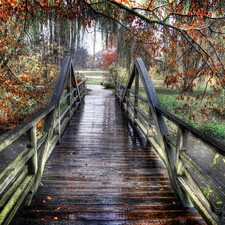 viewes, autumn, bridge, trees, River