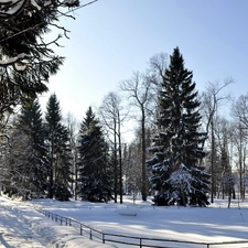 winter, trees, viewes, snow