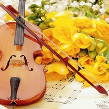 Yellow, Tunes, violin, roses