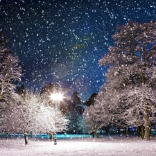 winter, Park, viewes, snow, trees