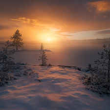 winter, Great Sunsets, lake, snow, viewes, Ringerike, Norway, trees