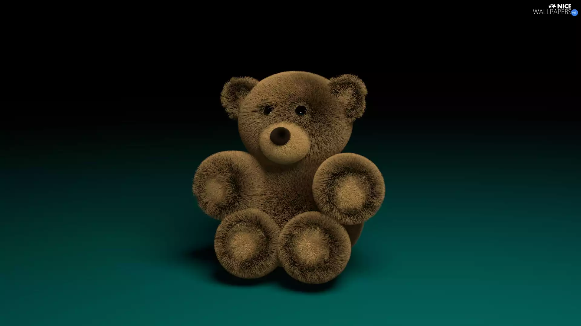 3D, teddy bear