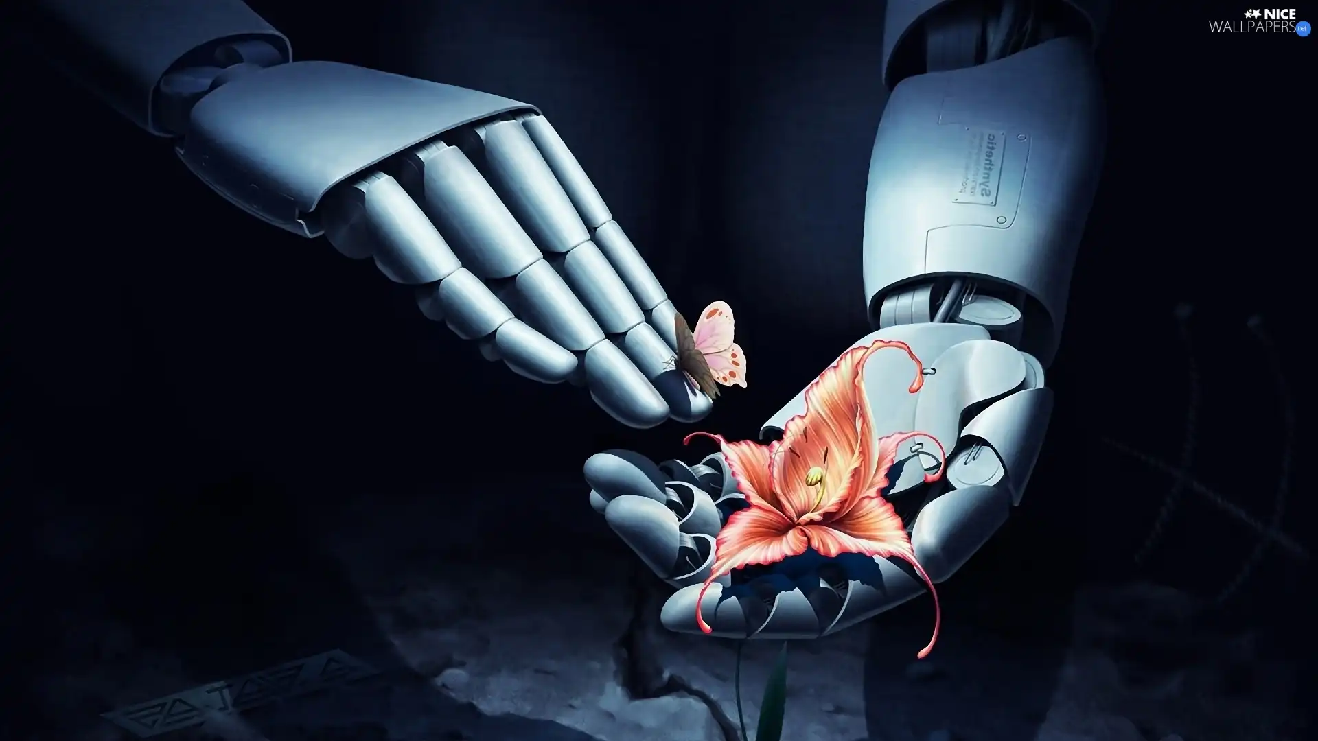 Robot, butterfly, 3D Graphics, Colourfull Flowers