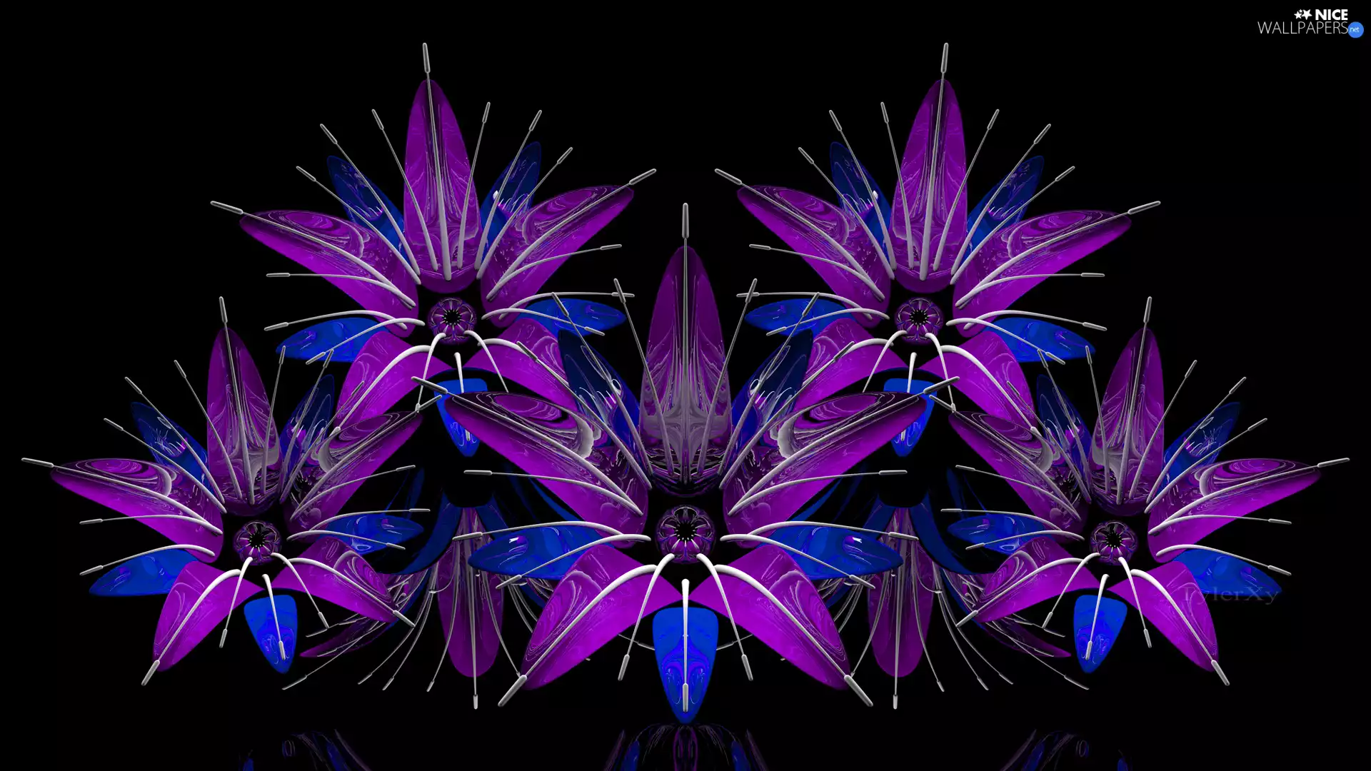 3D Graphics, Flowers