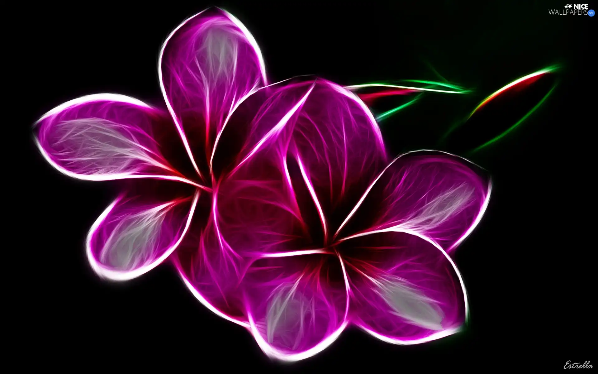 3D, purple, Flowers