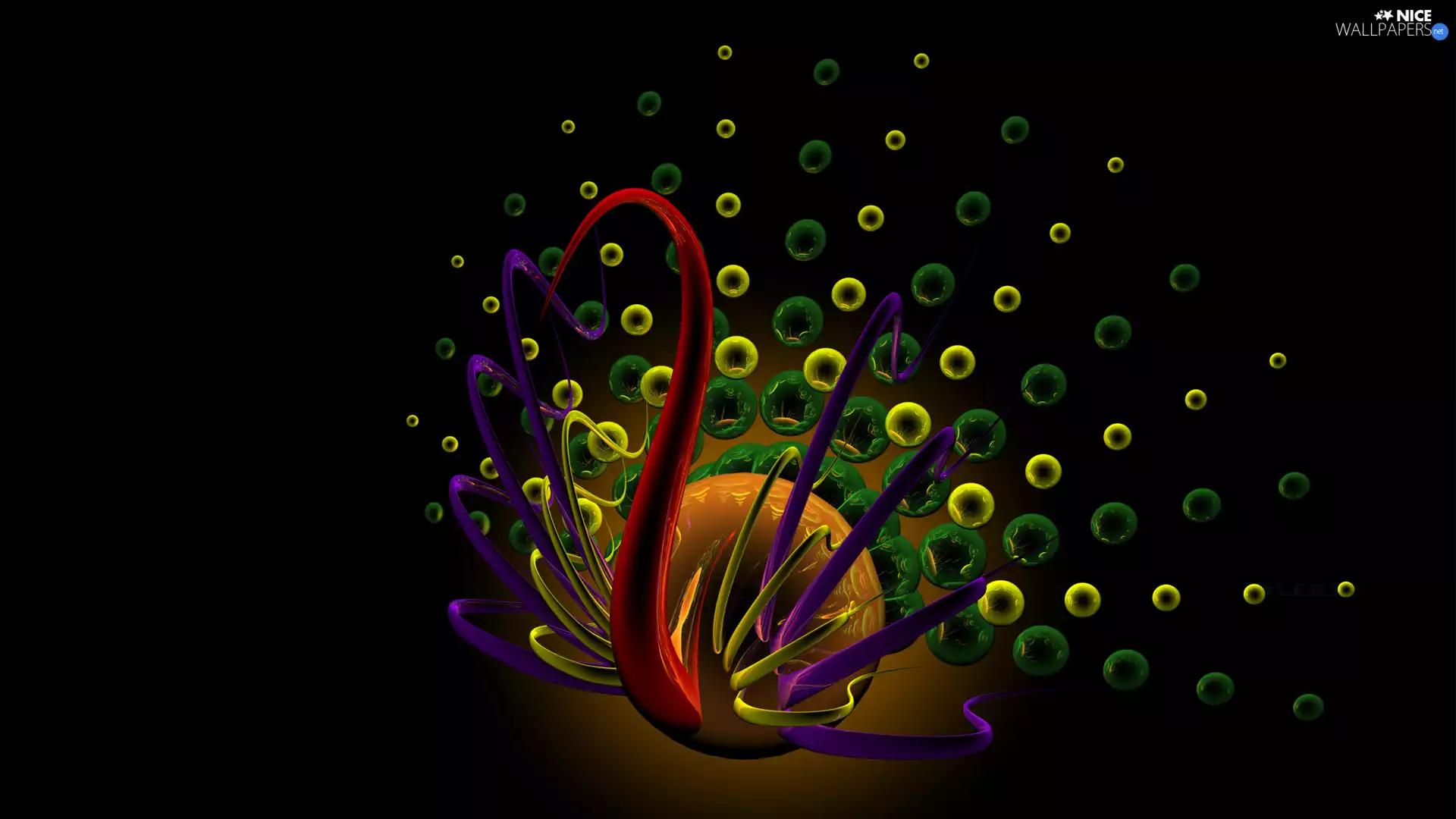 3D Graphics, peacock