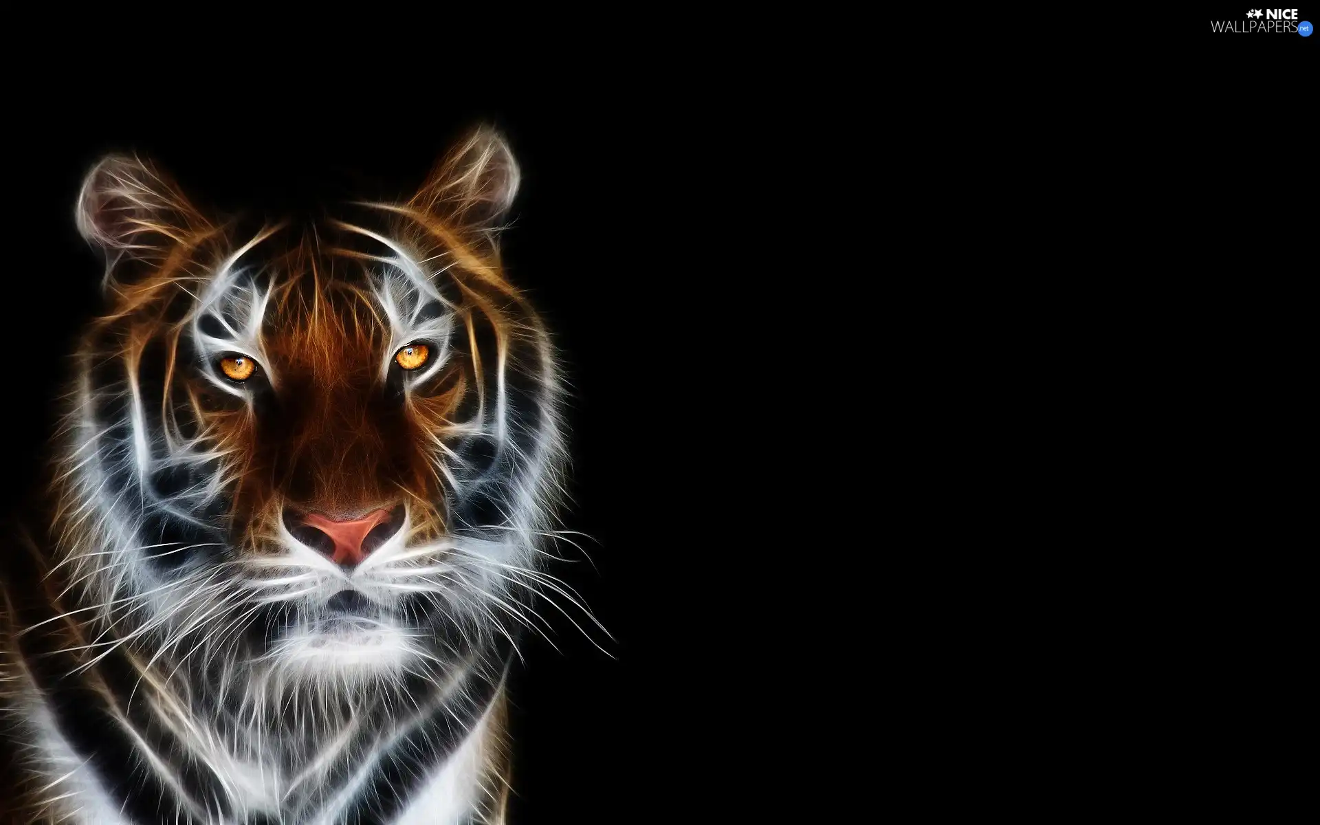 tiger, 3D