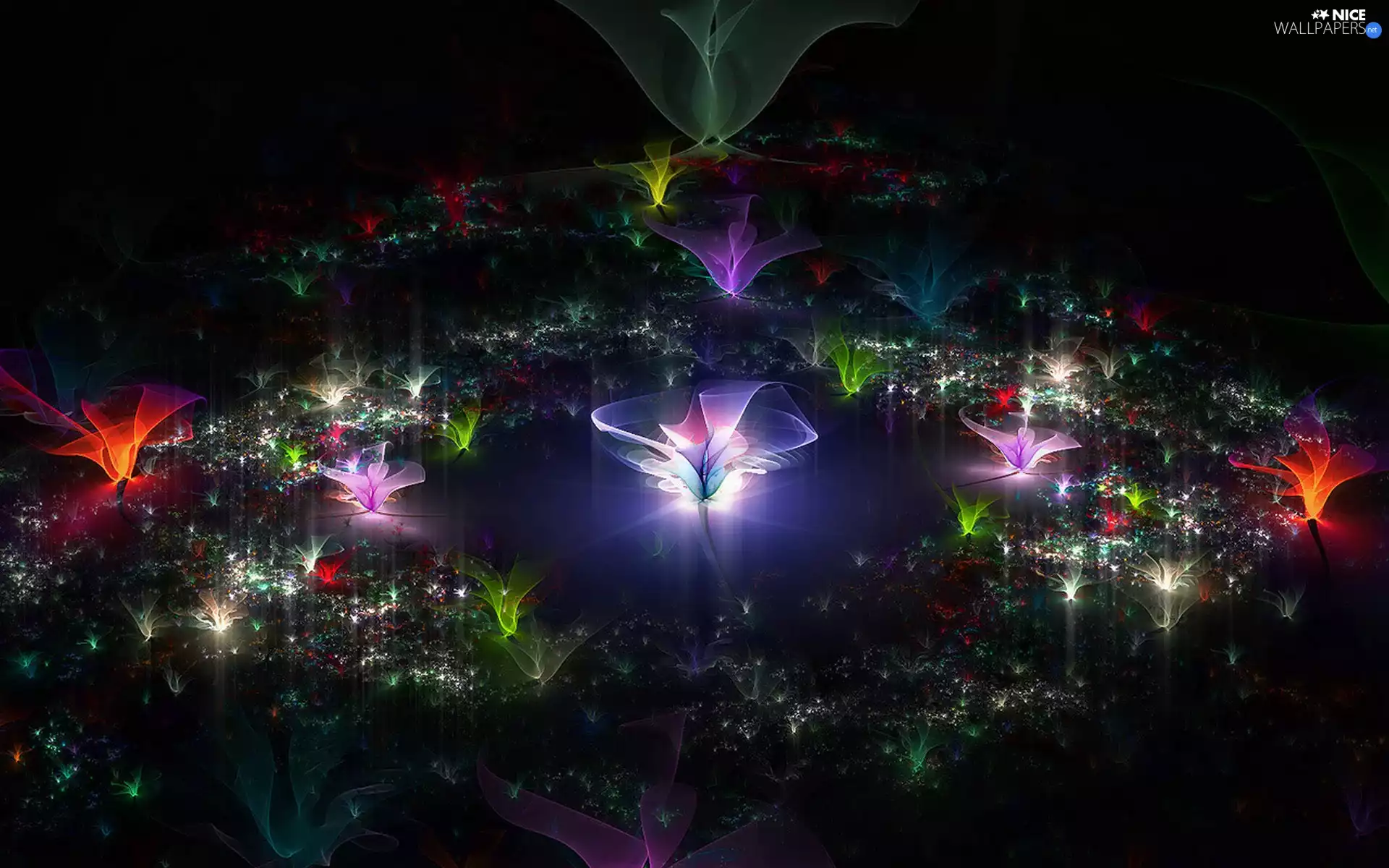 abstraction, Flowers, color