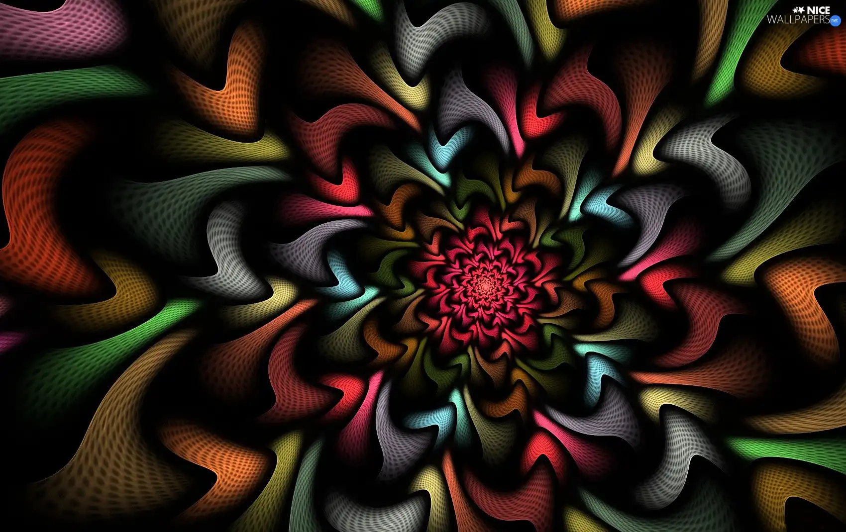graphics, Colourfull Flowers, abstraction