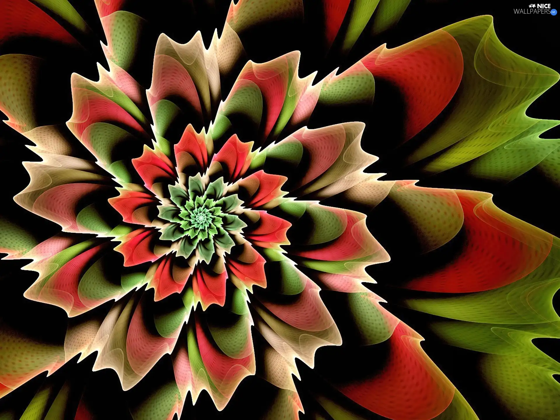 graphics, Colourfull Flowers, abstraction