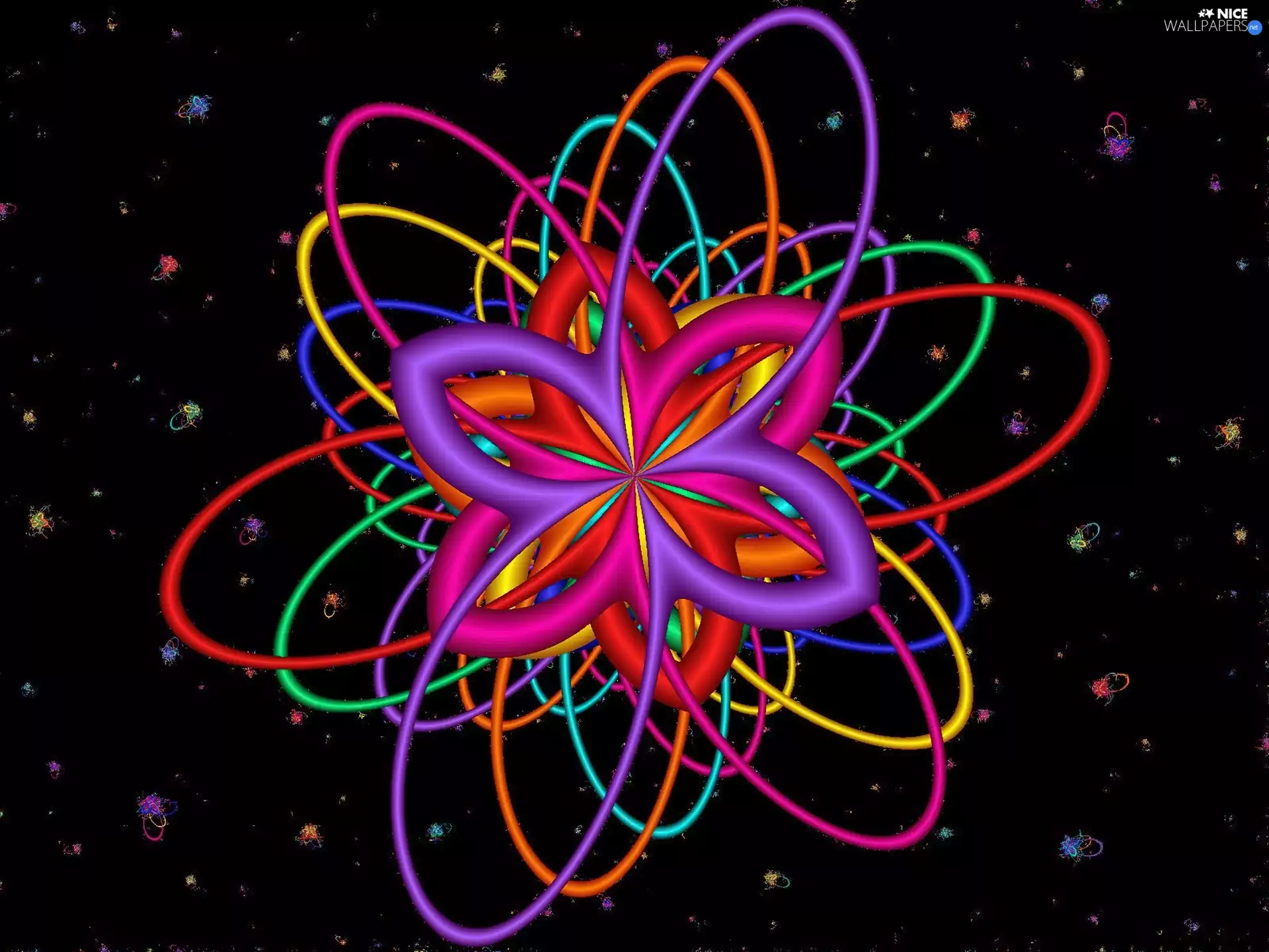 color, abstraction, graphics, Colourfull Flowers