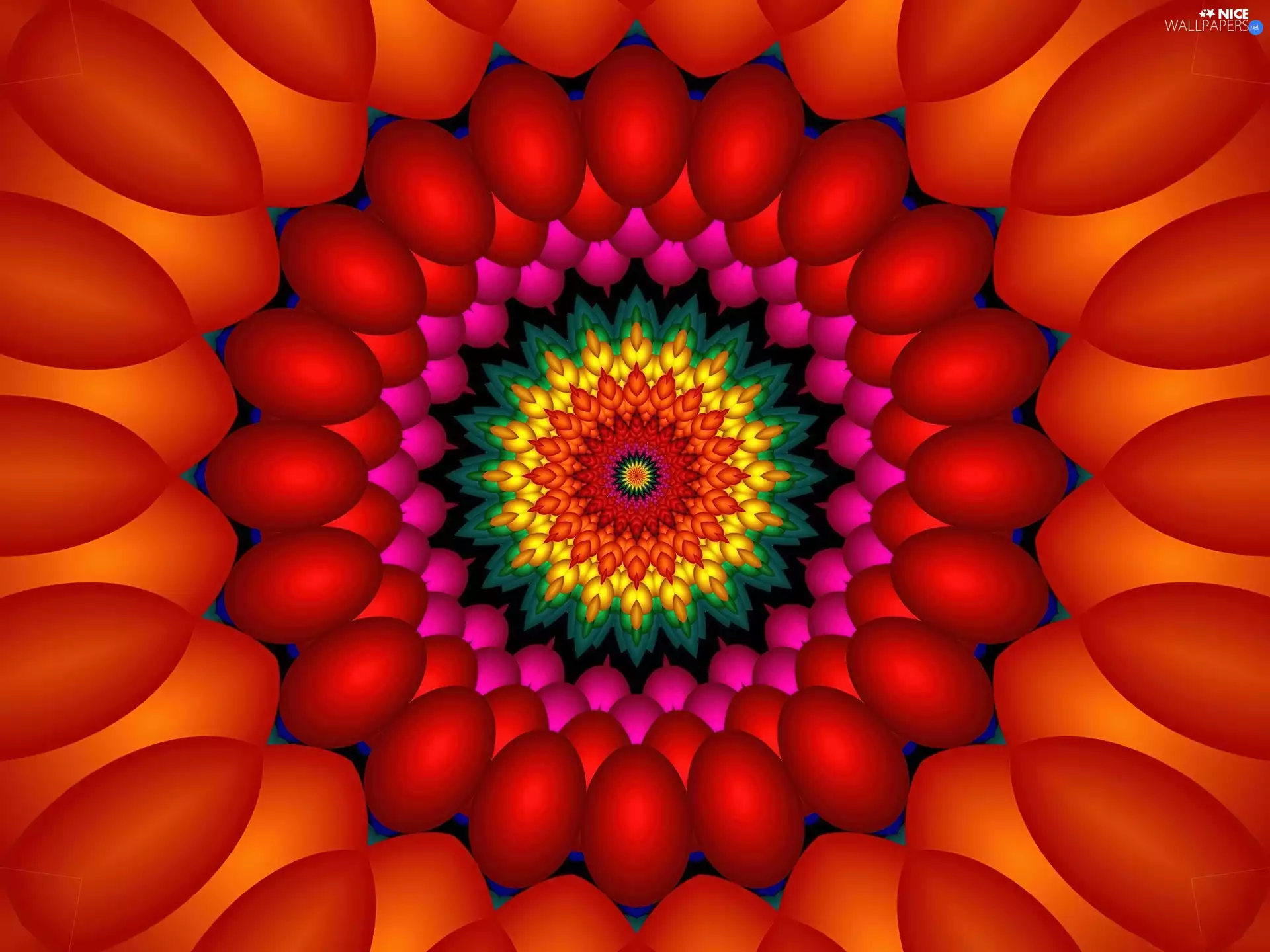 graphics, Colourfull Flowers, abstraction