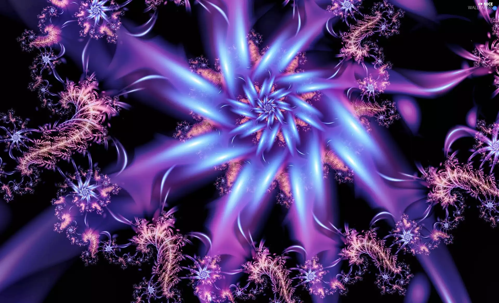 abstraction, starfish, graphics