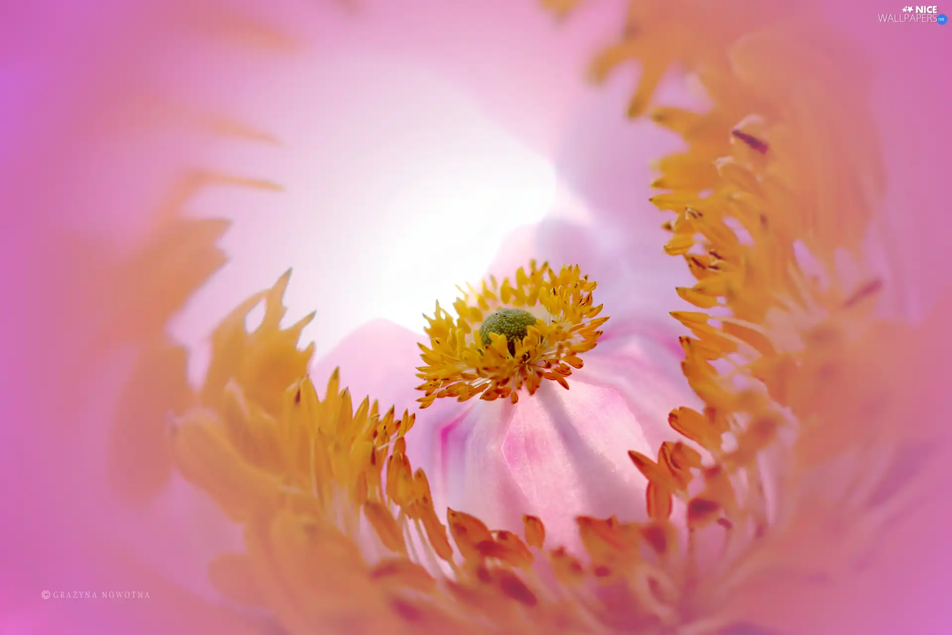 graphics, abstraction