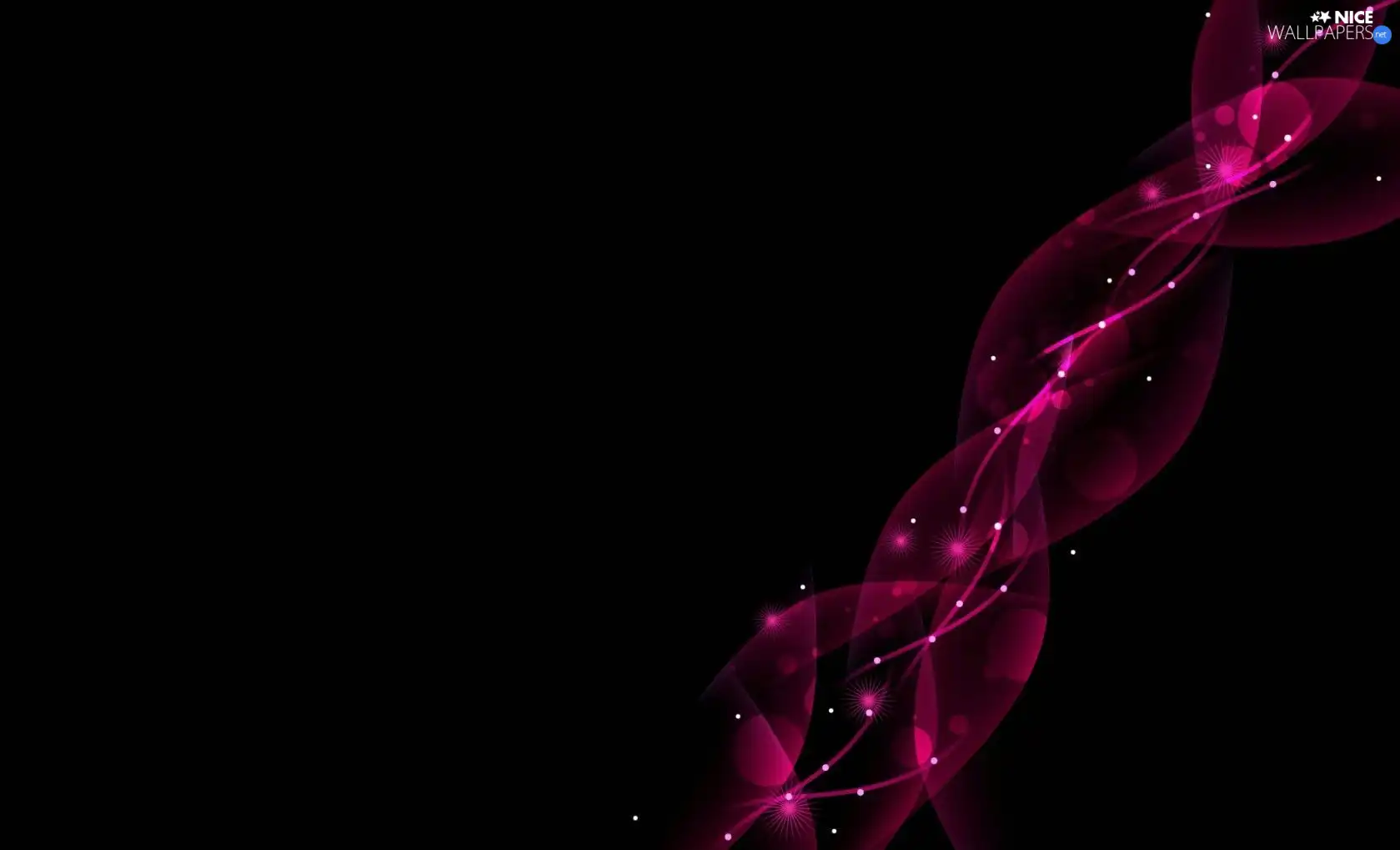 Pink, abstraction