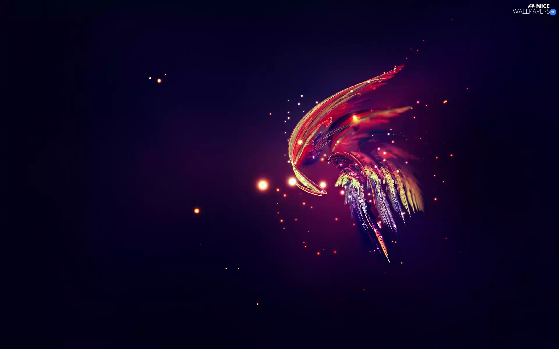 abstraction, color, wings