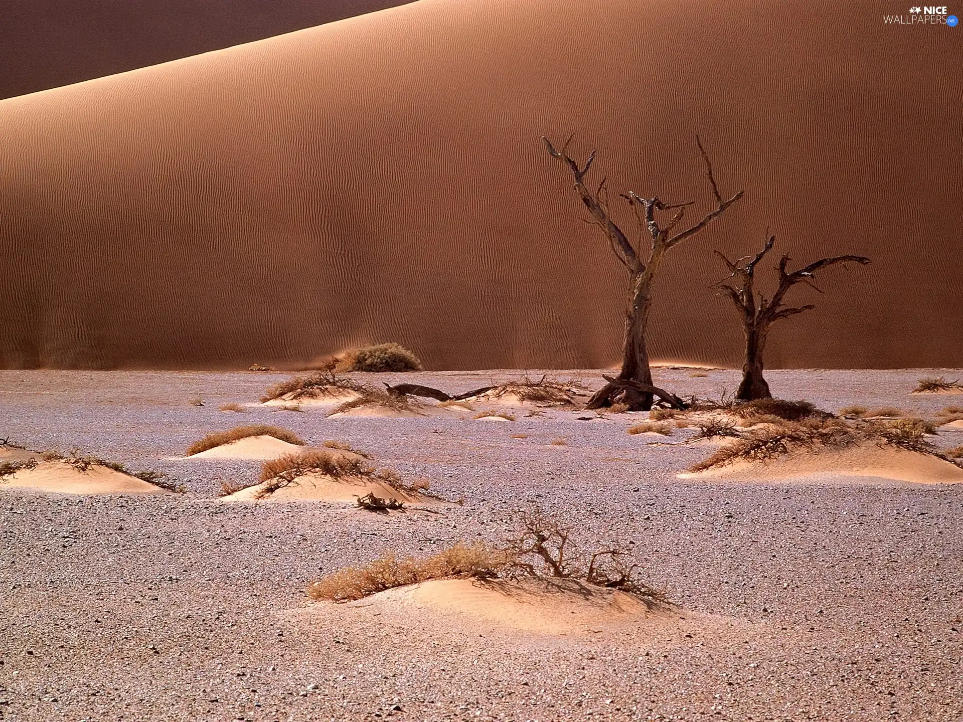 Namib, Africa