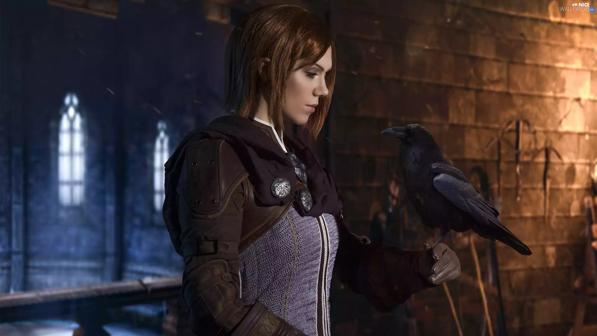 Leliana, Crow, Dragon Age: Inquisition, girl, game