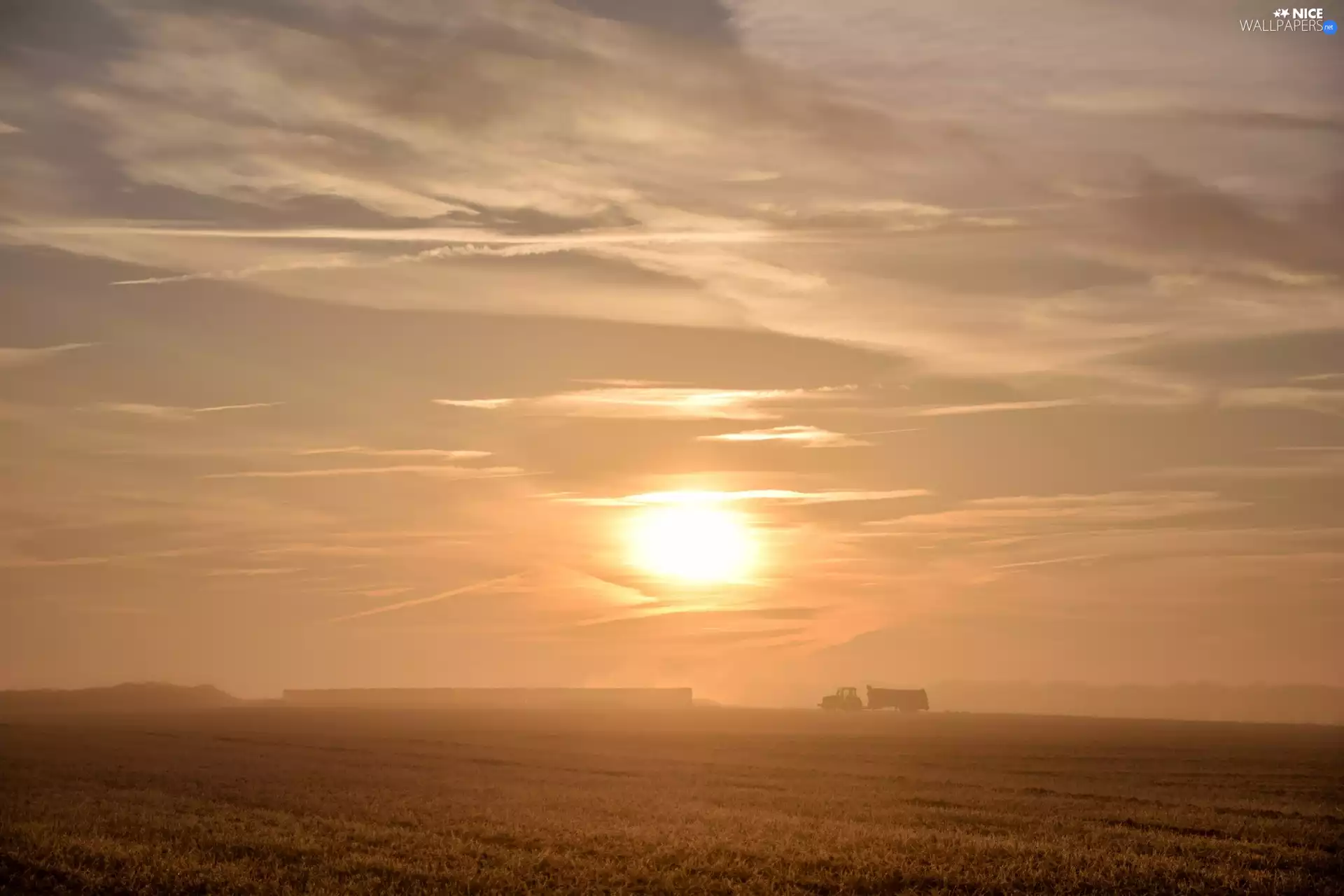 Field, agrimotor, Sky, Fog, Sunrise