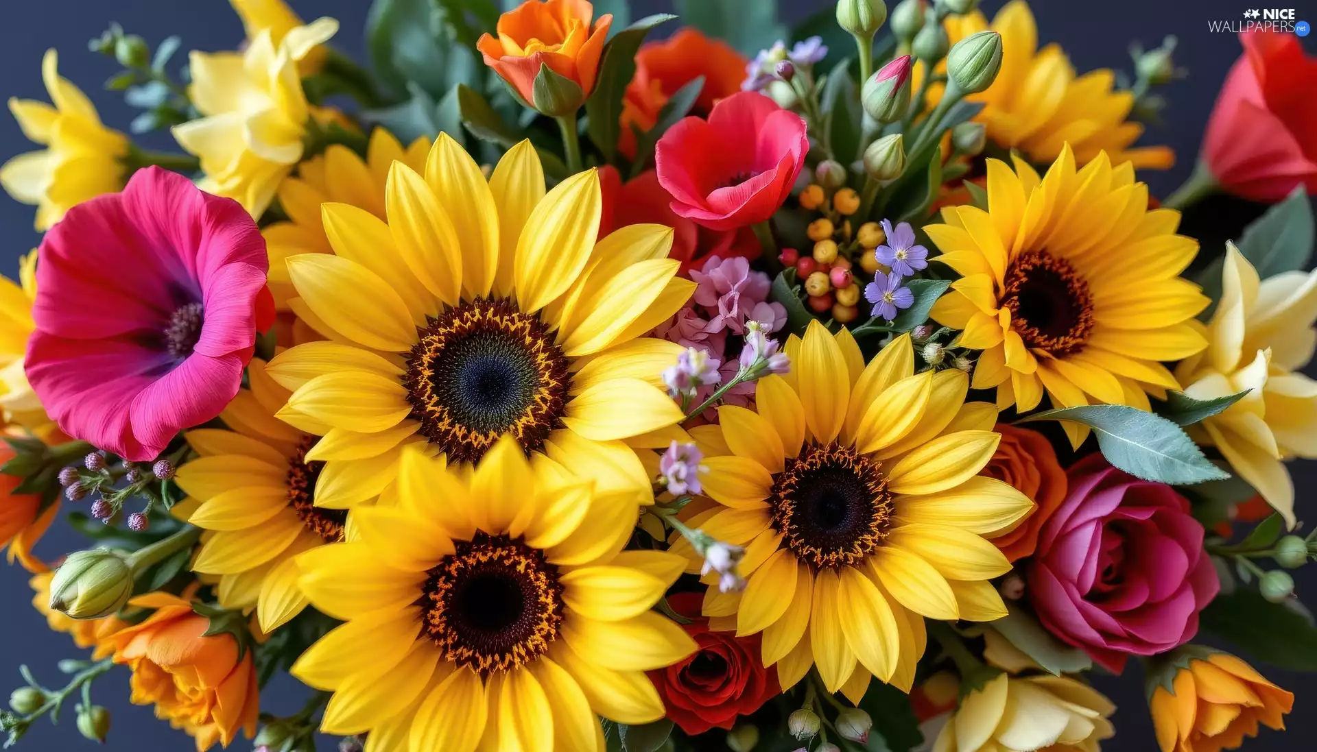 bouquet, Nice sunflowers, Ai