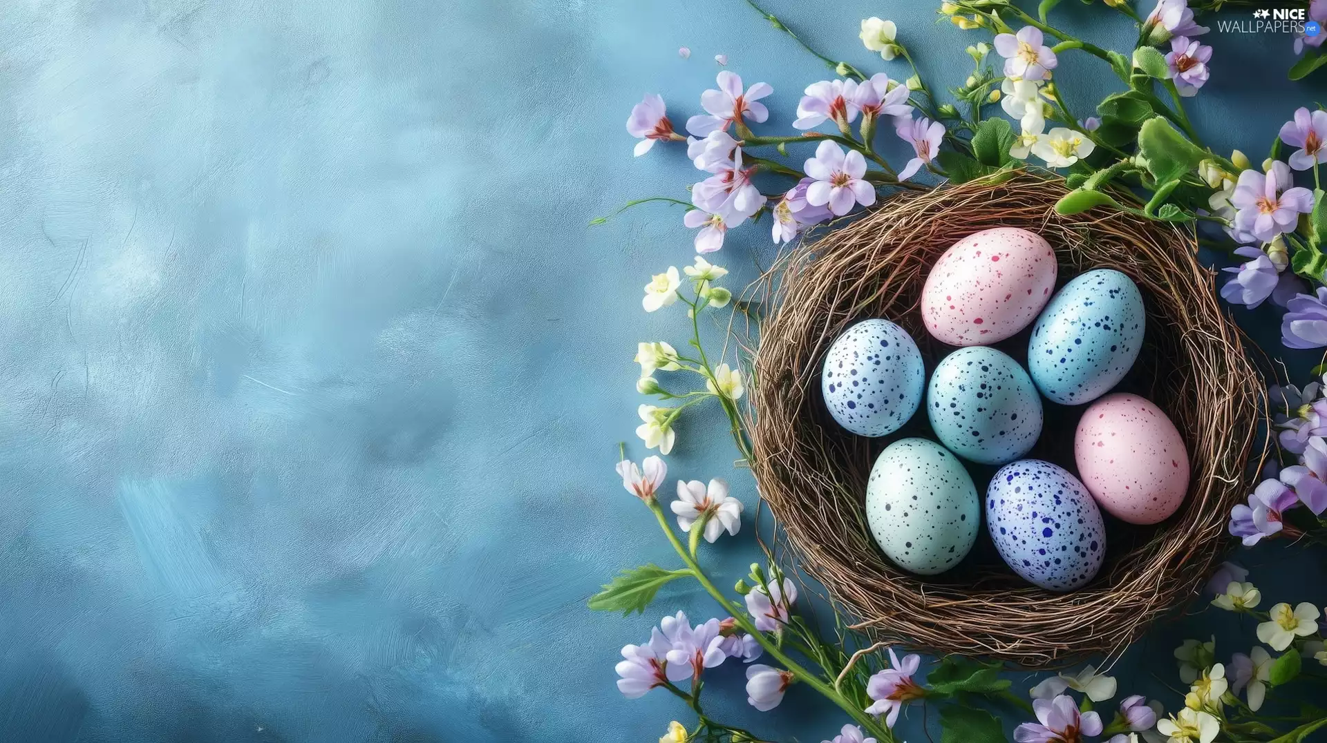 Flowers, Ai, socket, eggs, Easter