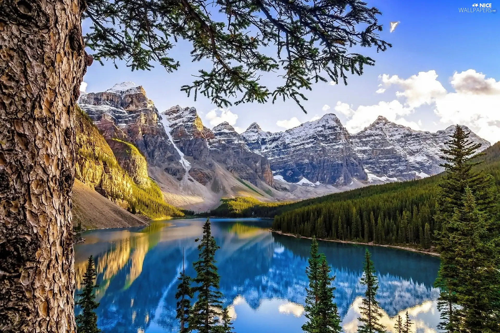 Alberta, Canada, lake, forest, Mountains