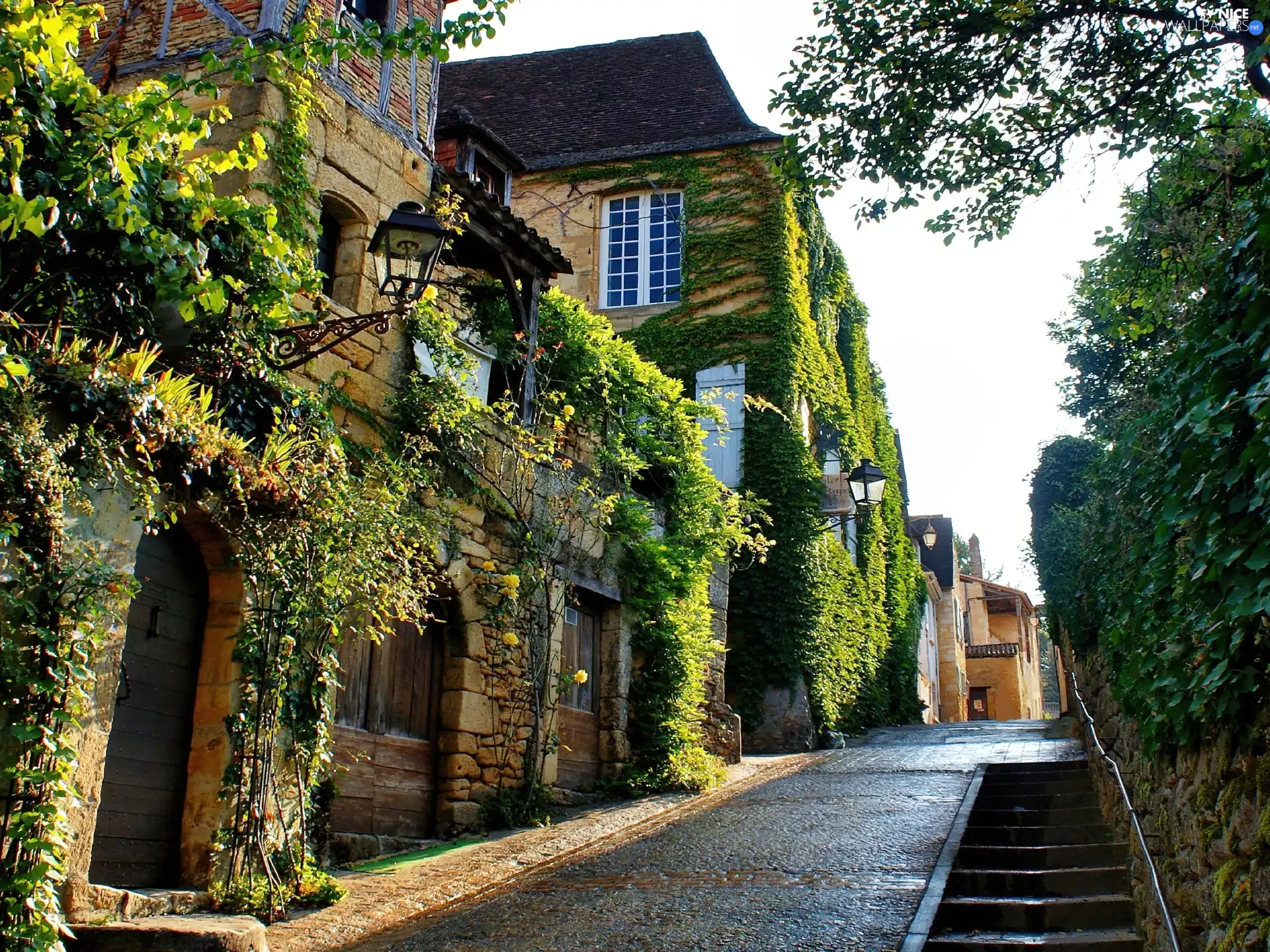 alley, Houses, Inclined