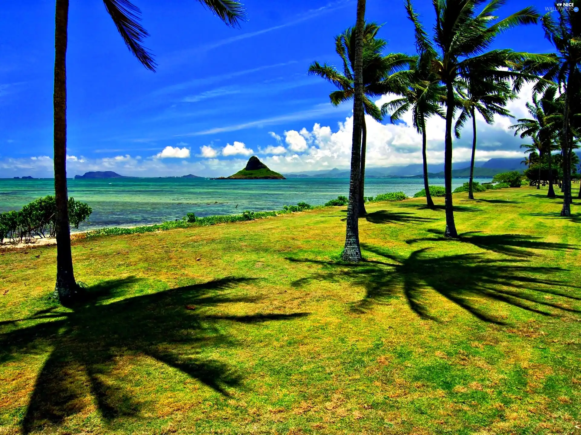 Ocean, Palms, Aloha State Hawaje, Island