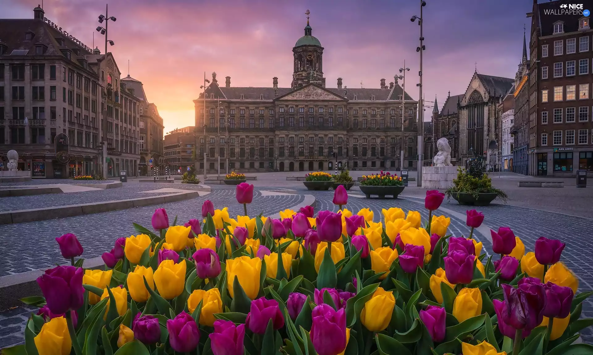 Tulips, Great Sunsets, Amsterdam, Royal Palace, Netherlands