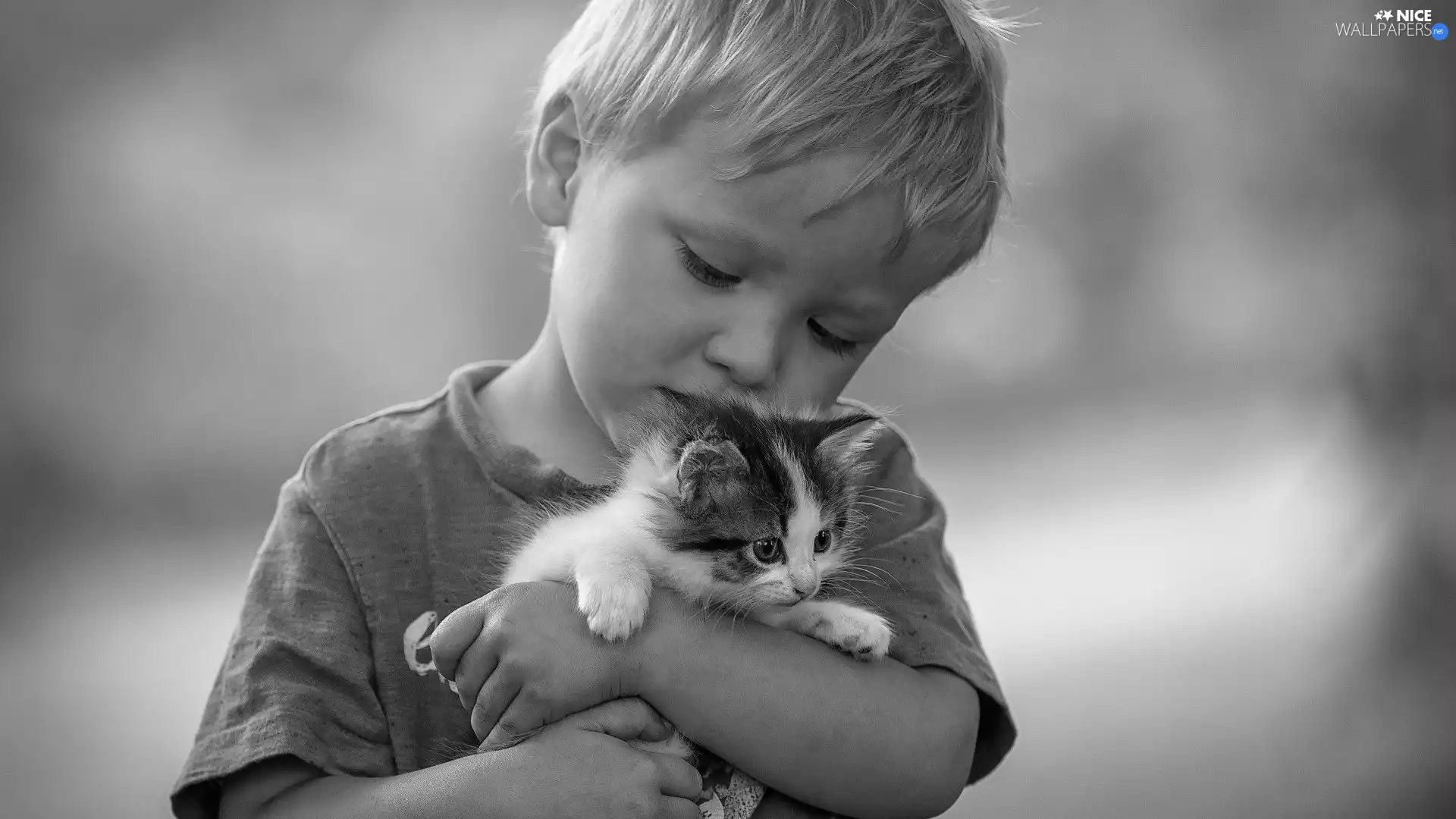 Black and white, boy, kitten